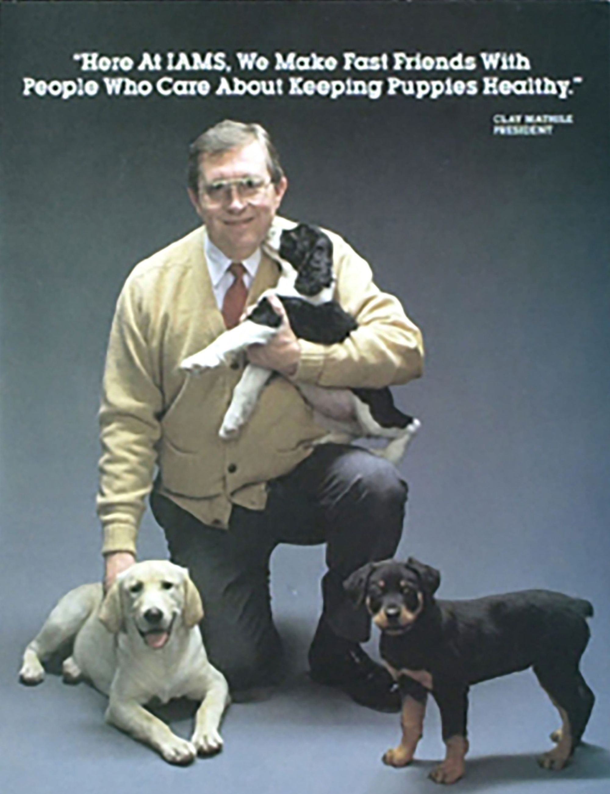 Iams Clay Mathile